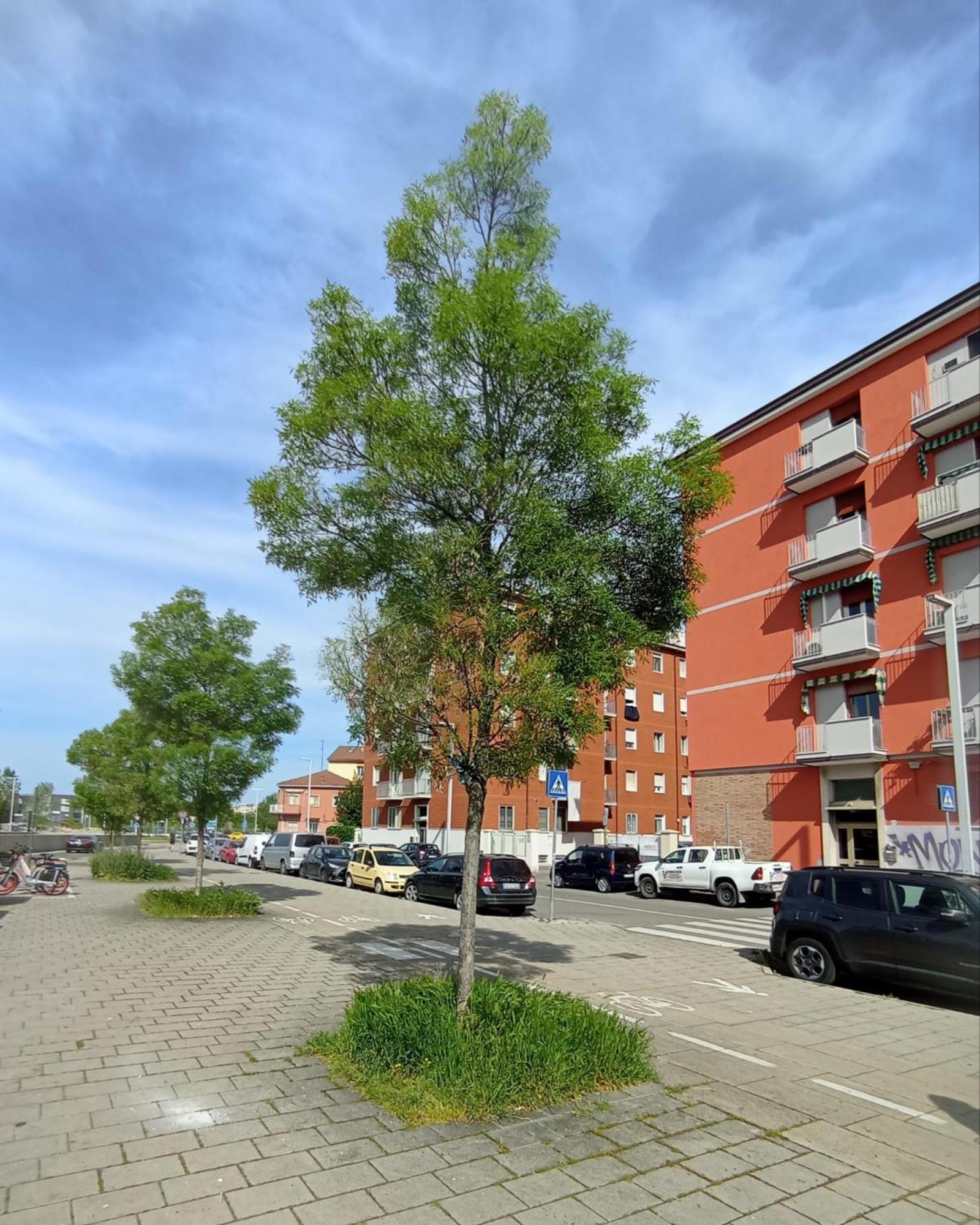 La Dimora Degli Artisti - Bologna Bed & Breakfast Eksteriør bilde